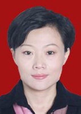 金乡县女县长董冰照片