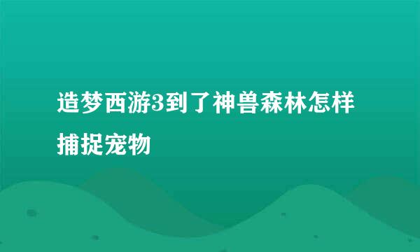 造梦西游3到了神兽森林怎样捕捉宠物