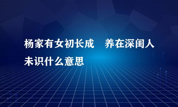 杨家有女初长成 养在深闺人未识什么意思