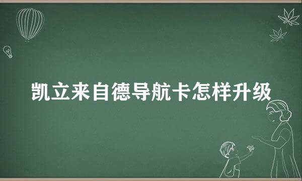 凯立来自德导航卡怎样升级