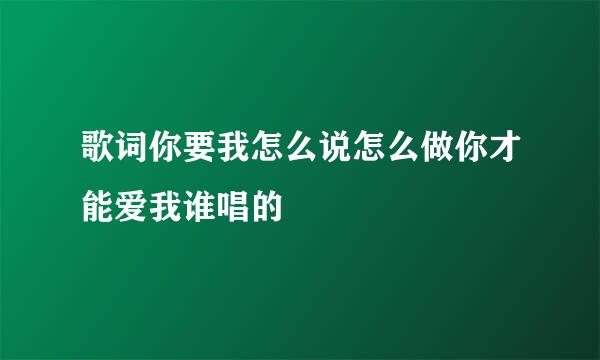 歌词你要我怎么说怎么做你才能爱我谁唱的