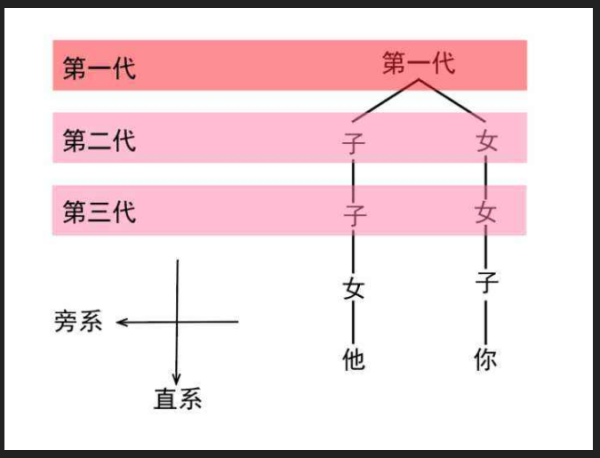 亲生兄弟姐妹算直系亲属还是旁系亲来自属？