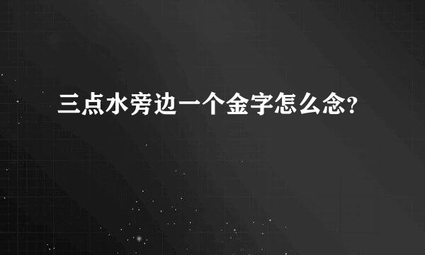 三点水旁边一个金字怎么念？