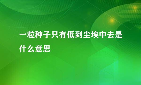 一粒种子只有低到尘埃中去是什么意思