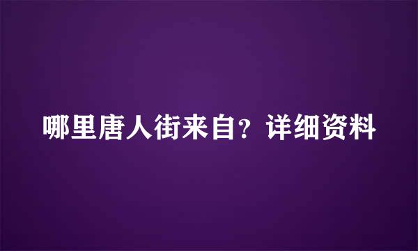 哪里唐人街来自？详细资料