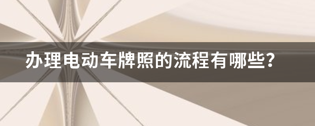 办理电动车牌照的流程有哪些？