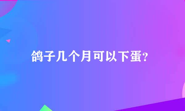 鸽子几个月可以下蛋？