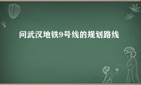 问武汉地铁9号线的规划路线