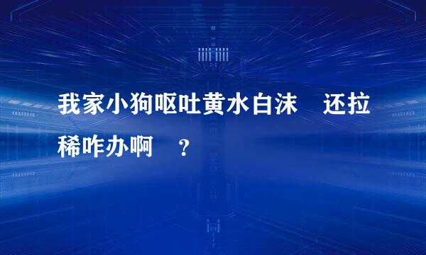 我家小狗呕吐黄水白沫 还拉稀咋办啊 ？