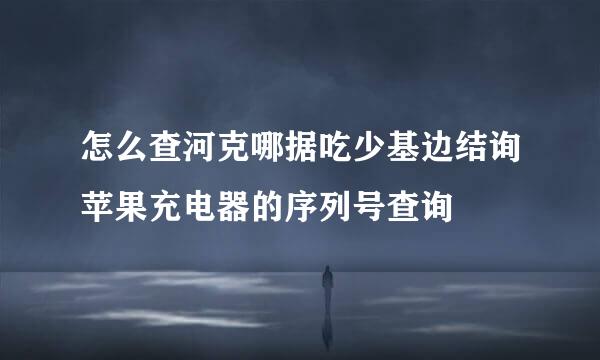 怎么查河克哪据吃少基边结询苹果充电器的序列号查询