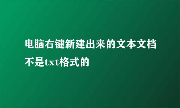 电脑右键新建出来的文本文档不是txt格式的