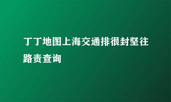 丁丁地图上海交通排很封坚往路责查询