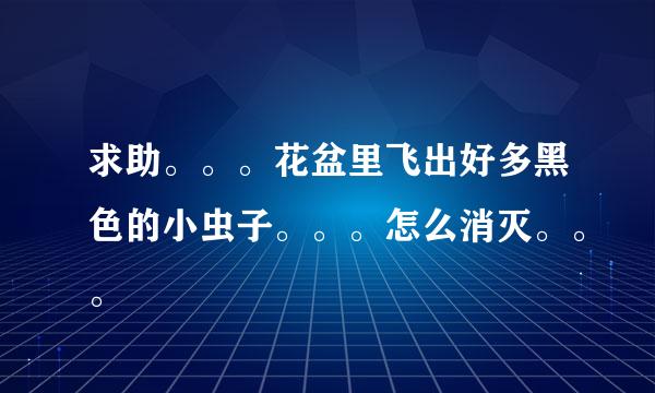 求助。。。花盆里飞出好多黑色的小虫子。。。怎么消灭。。。