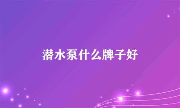 潜水泵什么牌子好