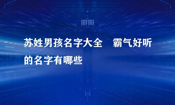 苏姓男孩名字大全 霸气好听的名字有哪些