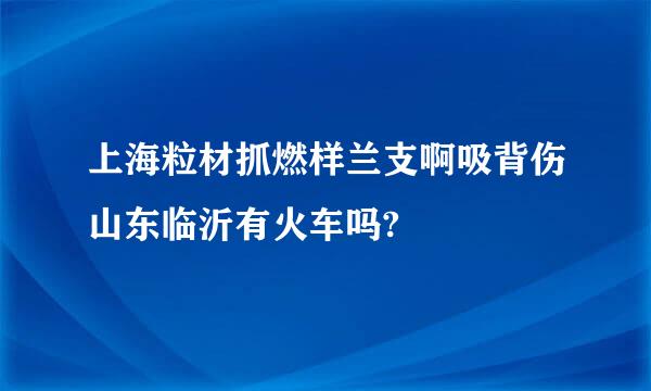 上海粒材抓燃样兰支啊吸背伤山东临沂有火车吗?