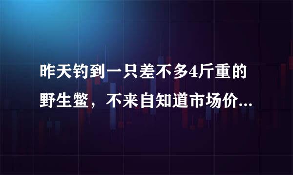 昨天钓到一只差不多4斤重的野生鳖，不来自知道市场价多少钱一斤？谢谢！