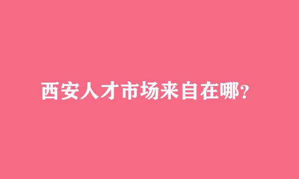 西安人才市场来自在哪？