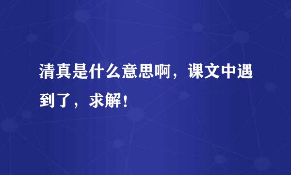 清真是什么意思啊，课文中遇到了，求解！