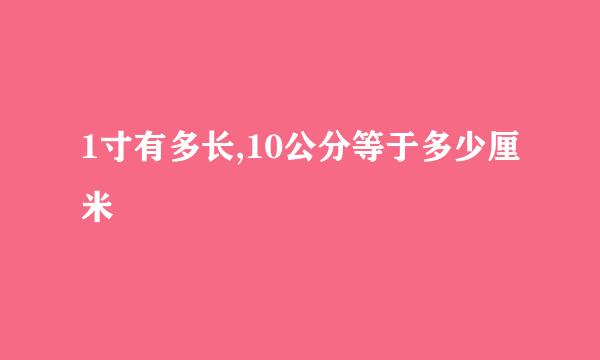 1寸有多长,10公分等于多少厘米