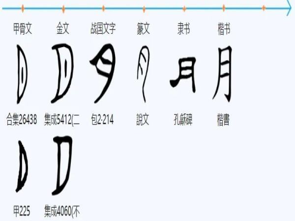 月字旁的字和什么有关?