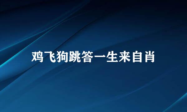 鸡飞狗跳答一生来自肖