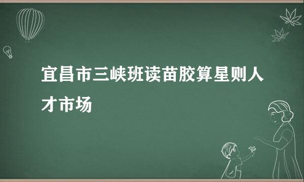 宜昌市三峡班读苗胶算星则人才市场