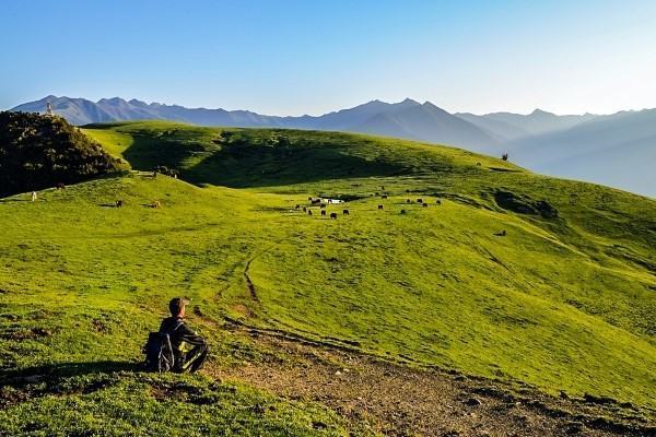 高山草括附原和高山草甸区别