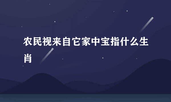 农民视来自它家中宝指什么生肖