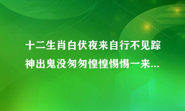 十二生肖白伏夜来自行不见踪神出鬼没匆匆惶惶惕惕一来住是什么动物？