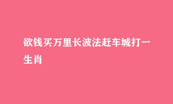 欲钱买万里长波法赶车城打一生肖