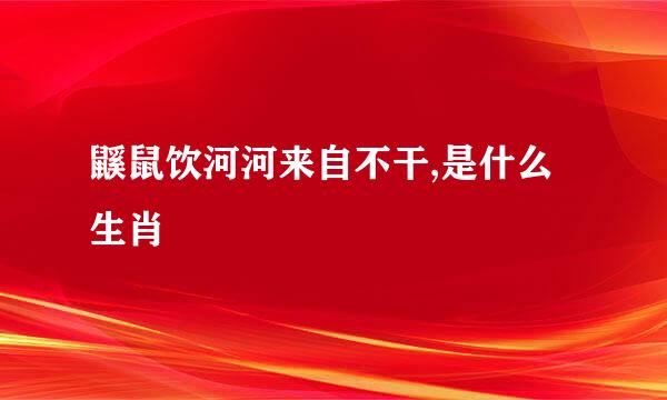 鼷鼠饮河河来自不干,是什么生肖