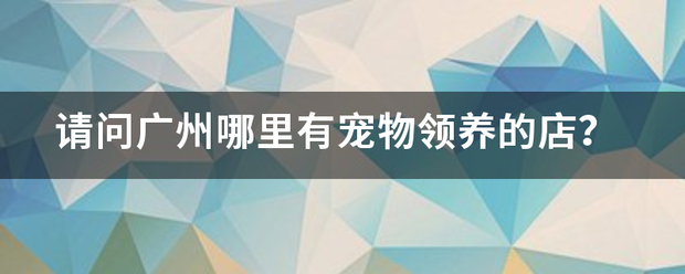 请问广州哪里方继批别景升始掉湖界有宠物领养的店？