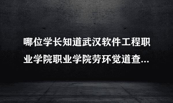 哪位学长知道武汉软件工程职业学院职业学院劳环觉道查分的网站是多少呀