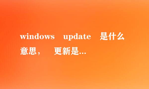 windows update 是什么意思， 更新是怎么回事？