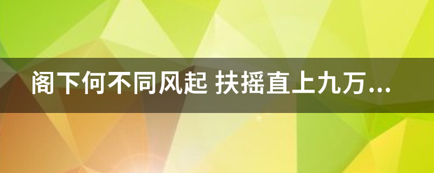 阁下何不同风起