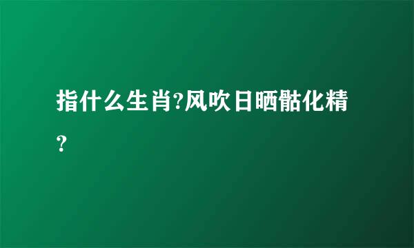 指什么生肖?风吹日晒骷化精？