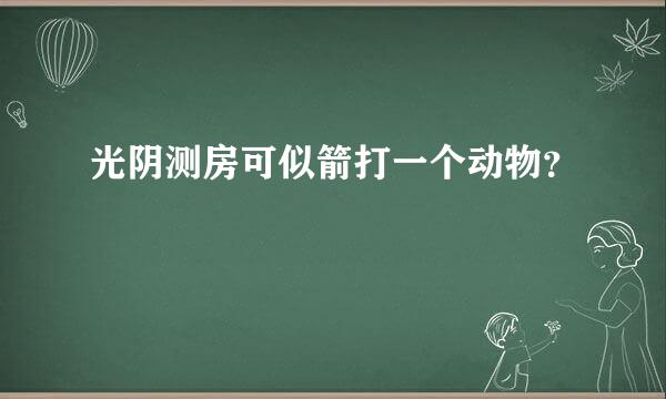 光阴测房可似箭打一个动物？