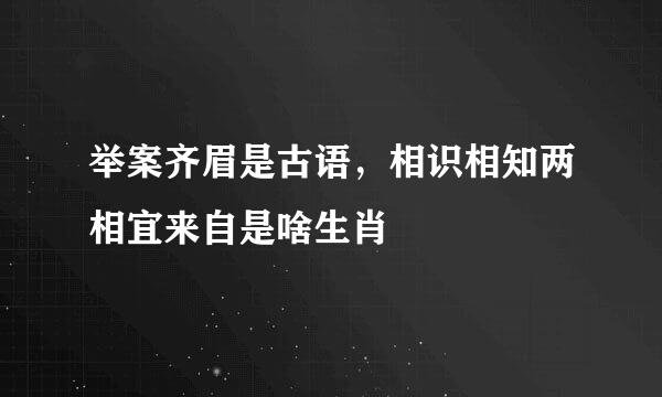 举案齐眉是古语，相识相知两相宜来自是啥生肖