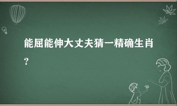 能屈能伸大丈夫猜一精确生肖？