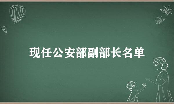 现任公安部副部长名单