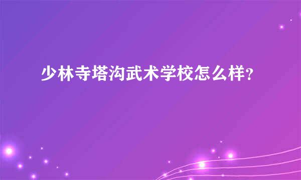 少林寺塔沟武术学校怎么样？