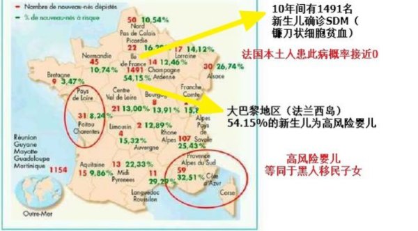 法国黑人和白人的比例是多少？