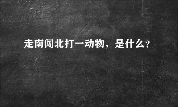 走南闯北打一动物，是什么？