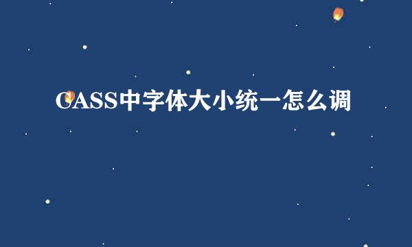 CASS中字体大小统一怎么调