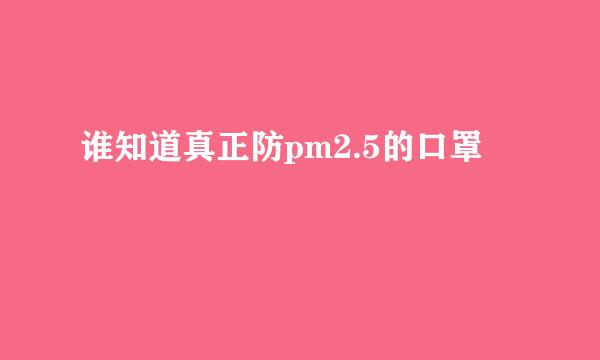 谁知道真正防pm2.5的口罩