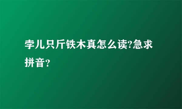 孛儿只斤铁木真怎么读?急求拼音？