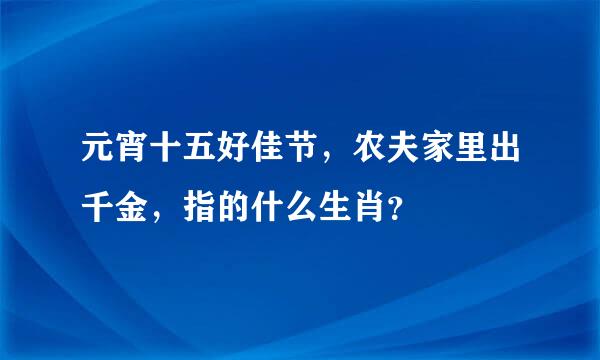 元宵十五好佳节，农夫家里出千金，指的什么生肖？