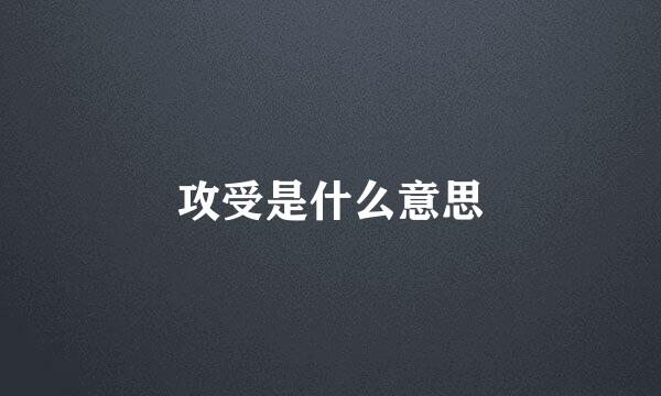 攻受是什么意思