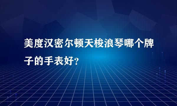 美度汉密尔顿天梭浪琴哪个牌子的手表好？